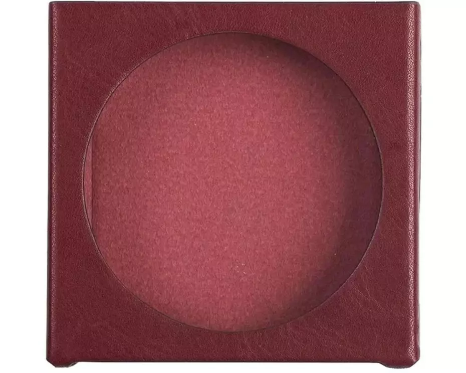 FiiO Schutzhülle SK-DISC