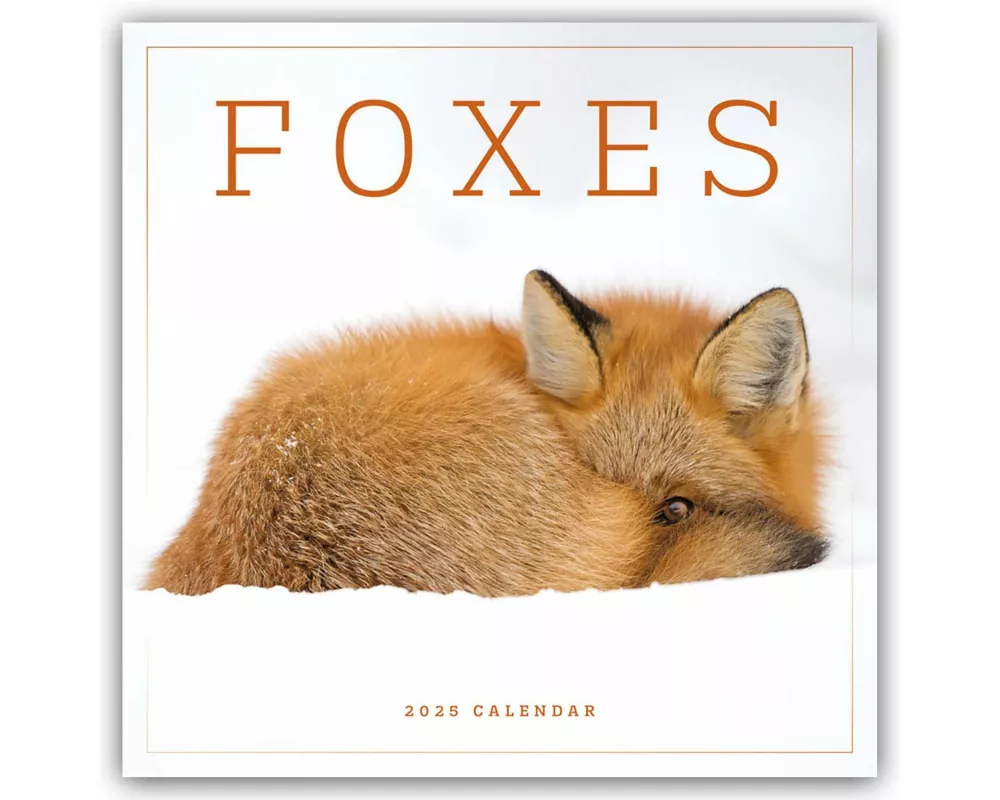 Foxes Square Wall Calendar 2025