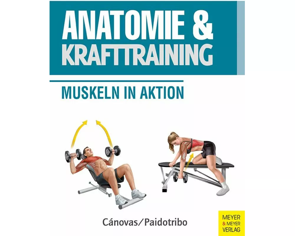 Anatomie & Krafttraining