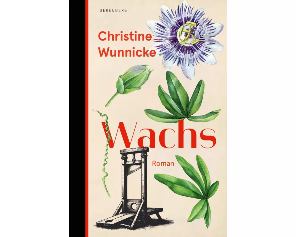 Wachs