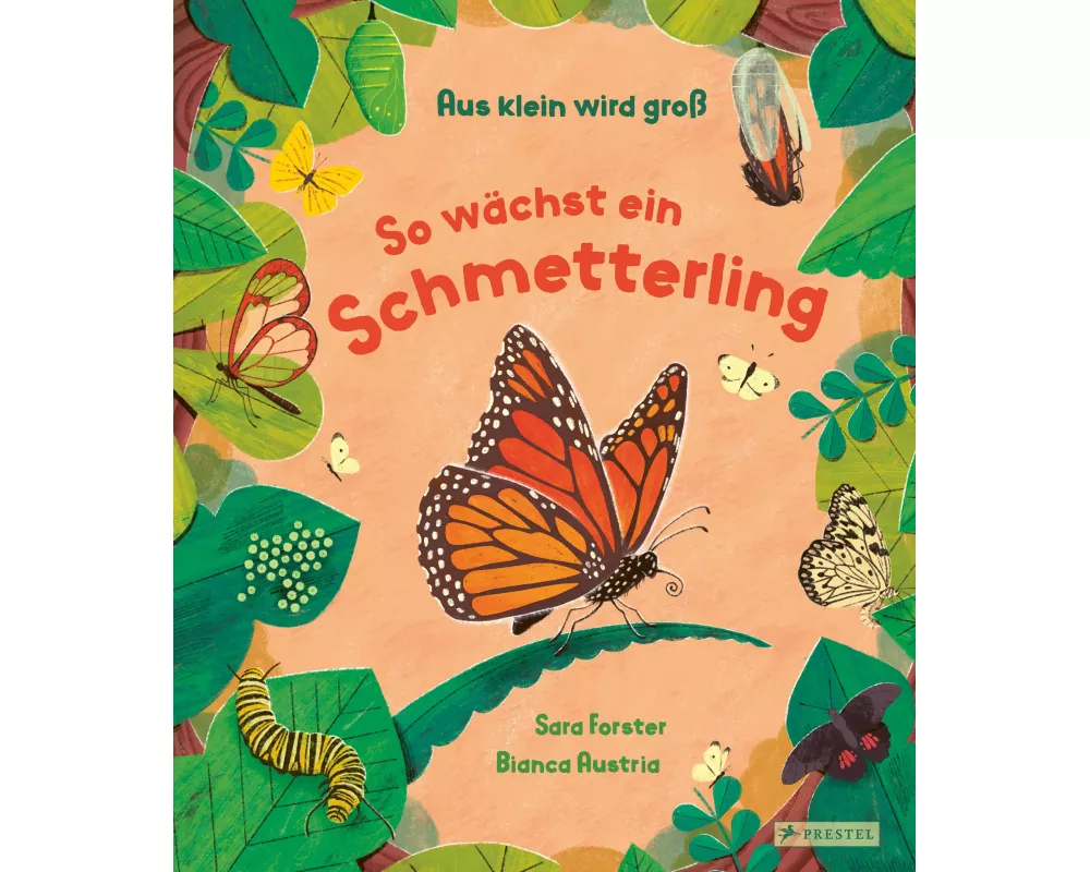 Aus klein wird groß. So wächst ein Schmetterling