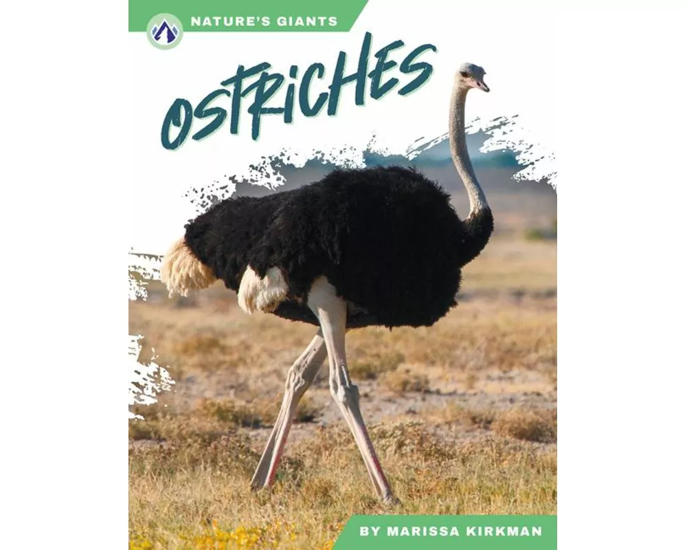 Ostriches