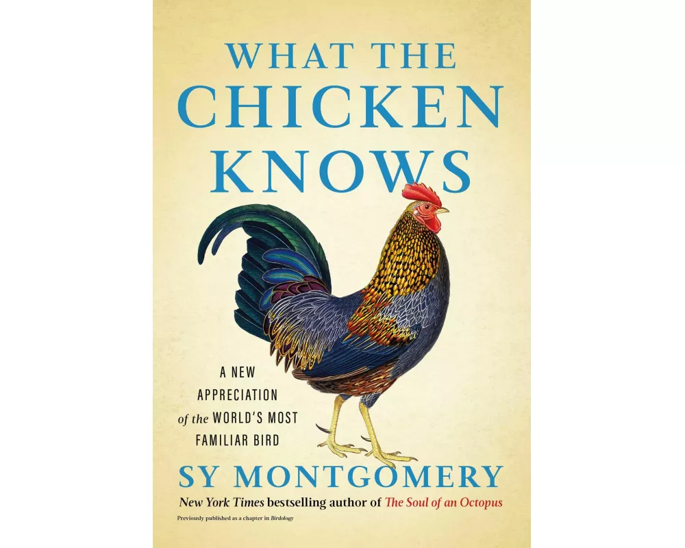 What the Chicken Knows