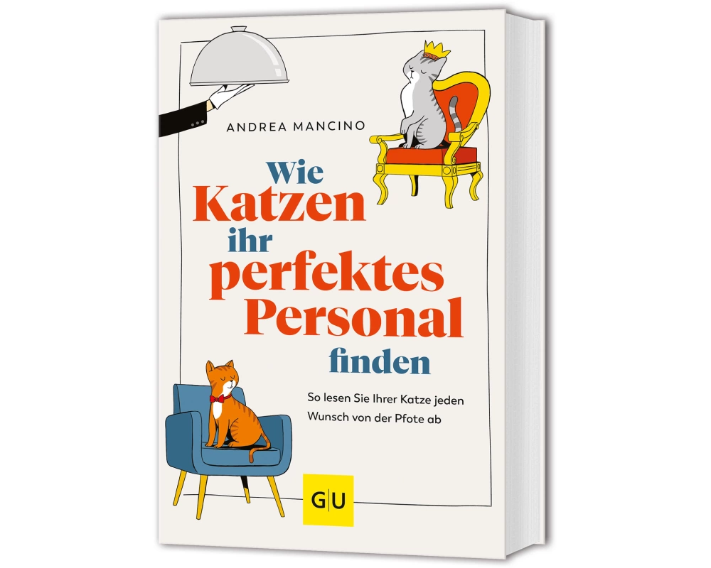 Wie Katzen ihr perfektes Personal finden