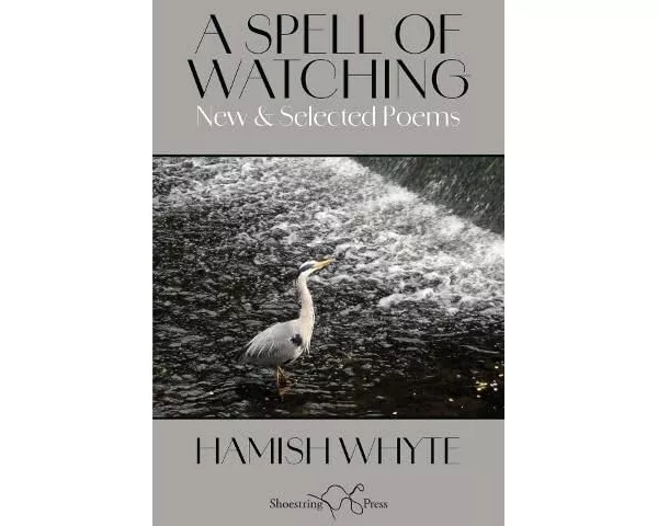 A Spell of Watching
