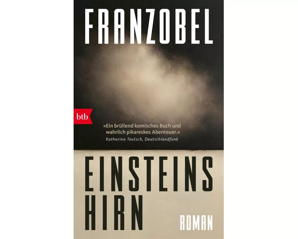 Einsteins Hirn