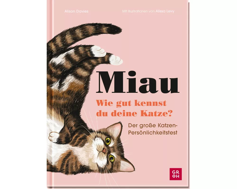 Miau - Wie gut kennst du deine Katze?