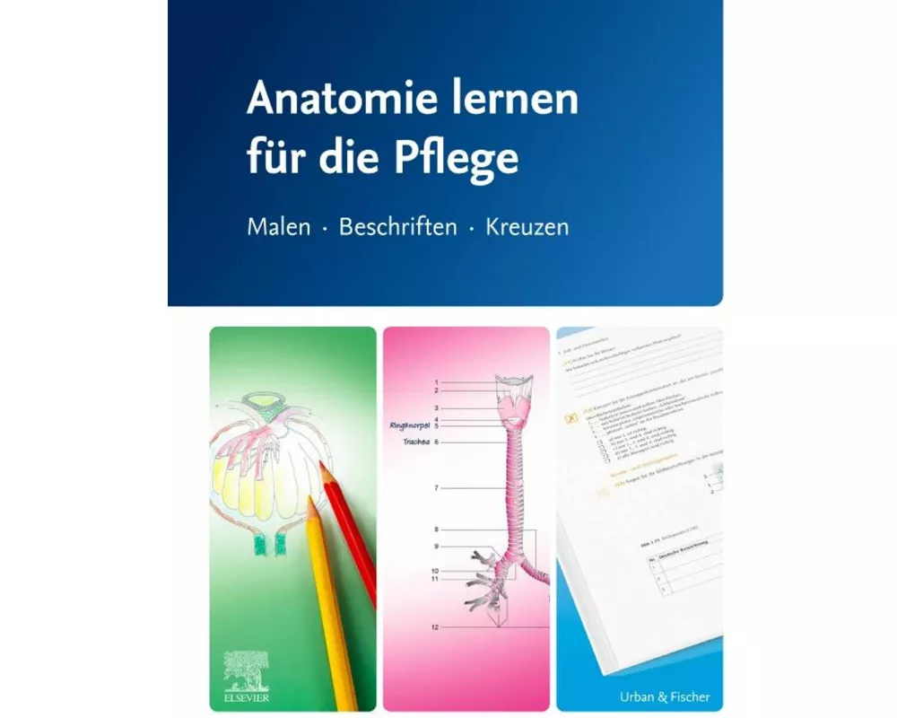 Anatomie lernen für die Pflege