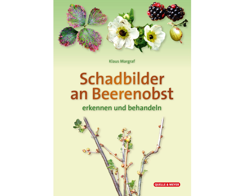 Schadbilder an Beerenobst
