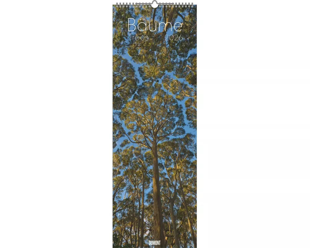 DUMONT - Bäume 2026 – Wandkalender King-Size 34×98 cm mit 12 Fotografien von Bäumen weltweit, Naturkalender für Naturliebhaber & Baumfreunde