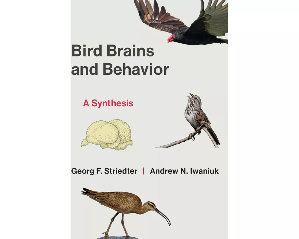 Bird Brains and Behavior