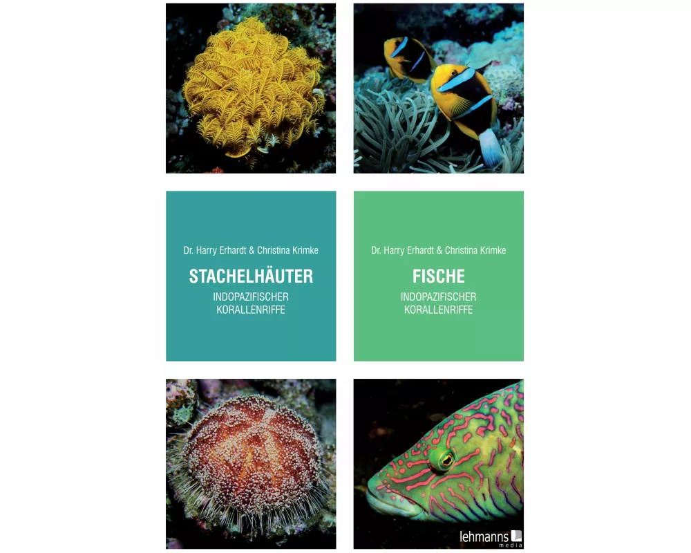 Stachelhäuter/Fische indopazifischer Korallenriffe