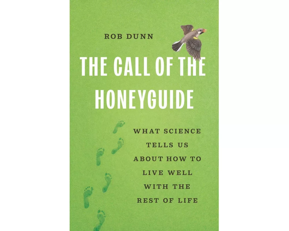 The Call of the Honeyguide