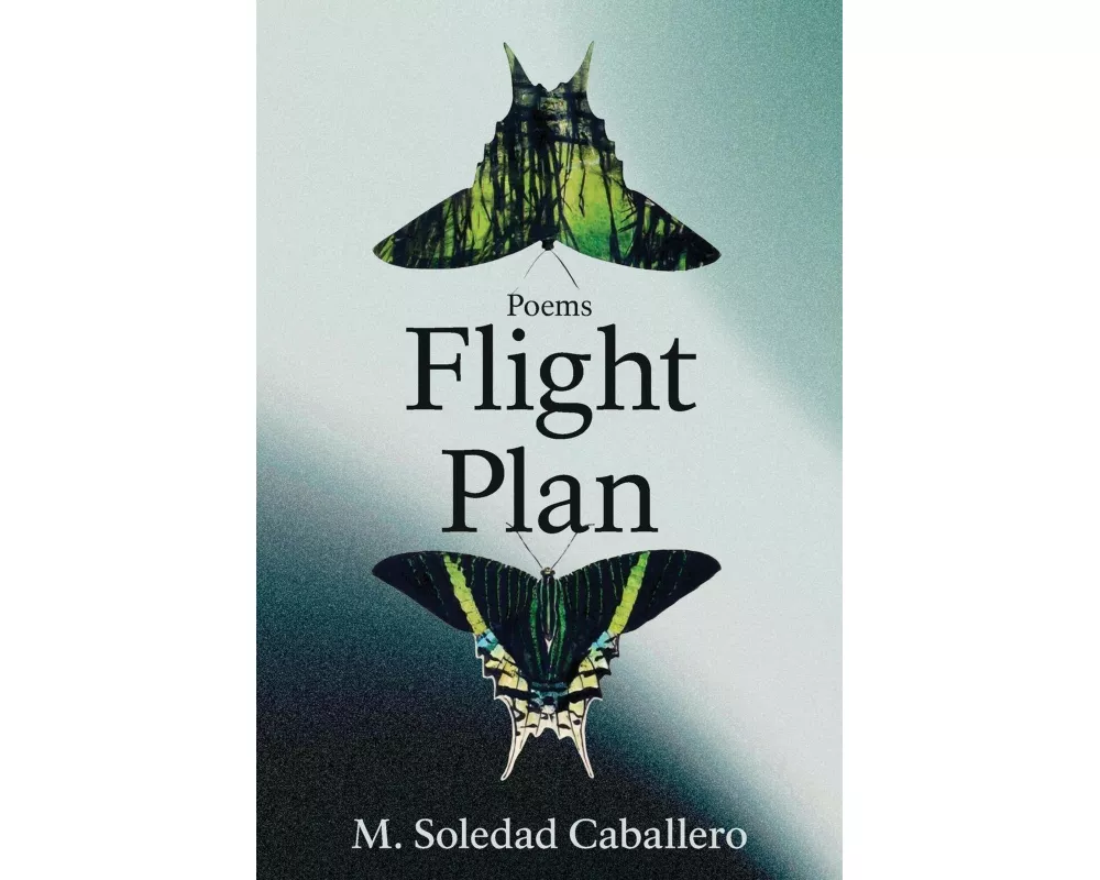 Flight Plan