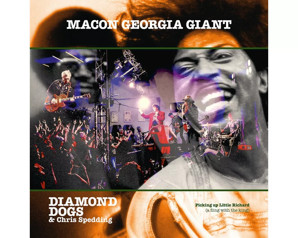 Macon Georgia Giants