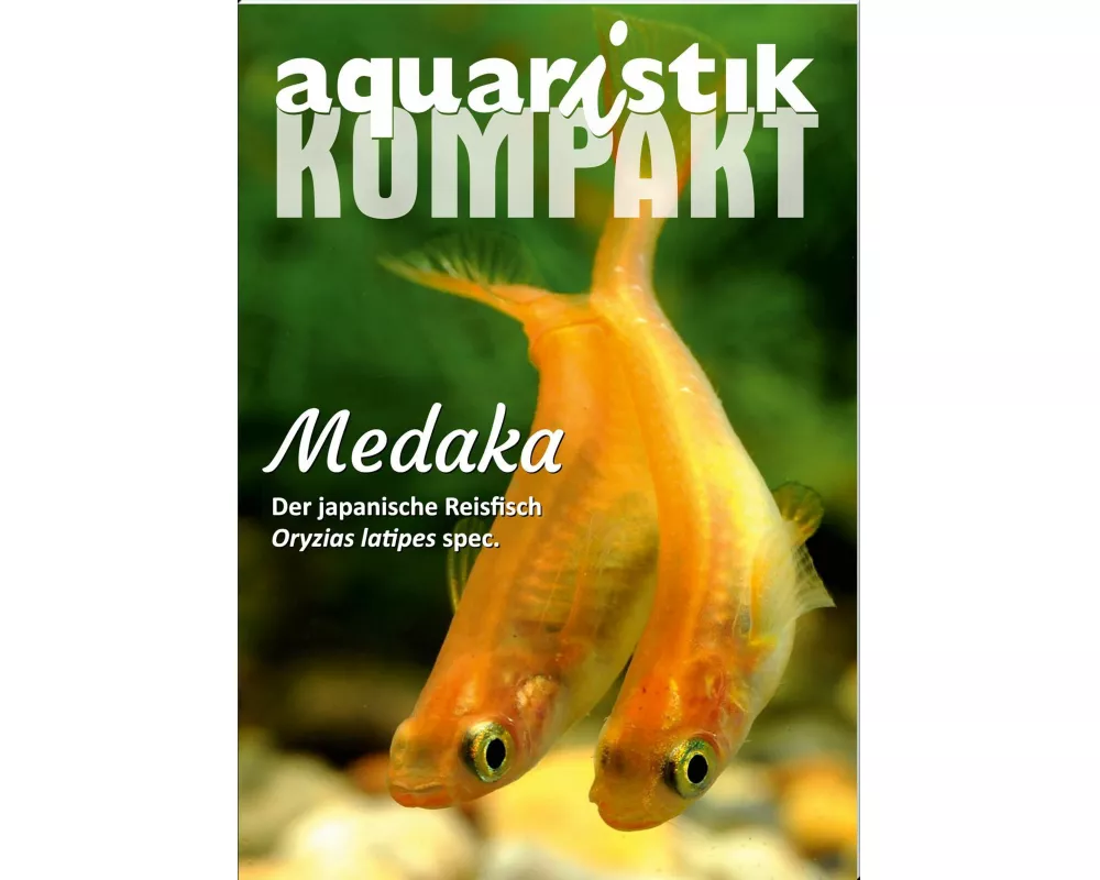 Medaka - aquaristik KOMPAKT