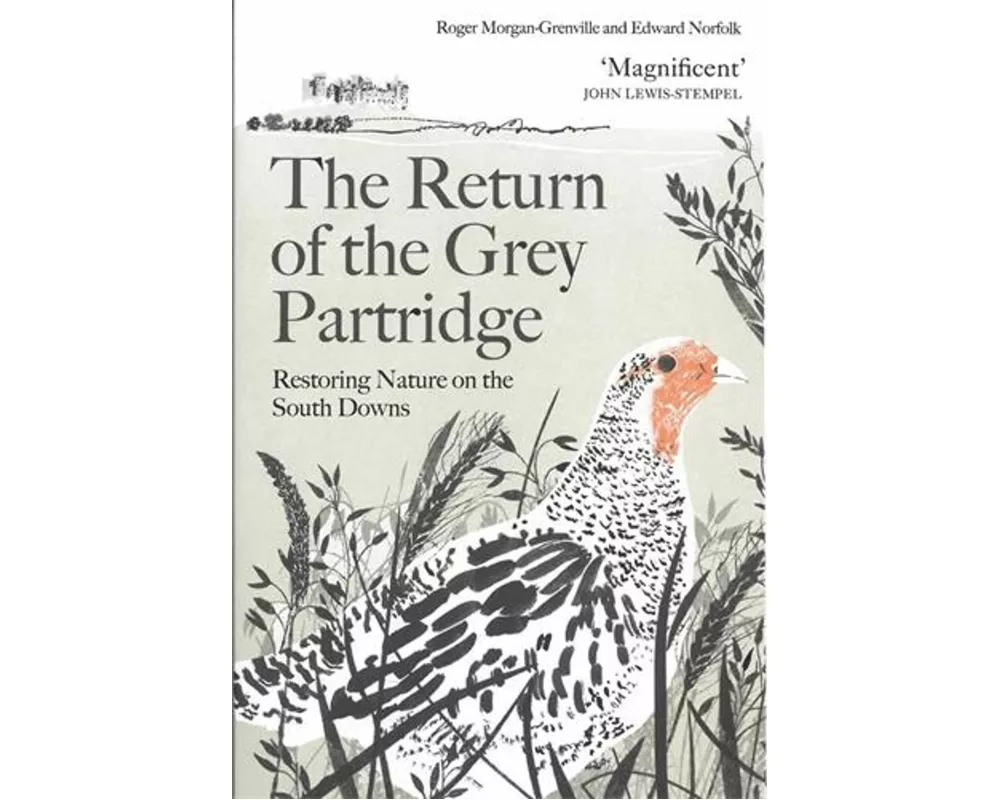 The Return of the Grey Partridge