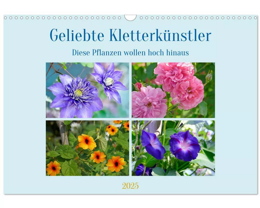 Geliebte Kletterkünstler (Wandkalender 2025 DIN A3 quer), CALVENDO Monatskalender