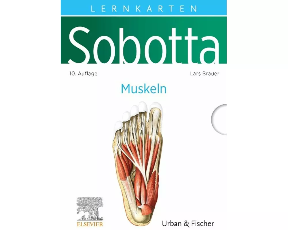 Sobotta Lernkarten Anatomie: Muskeln