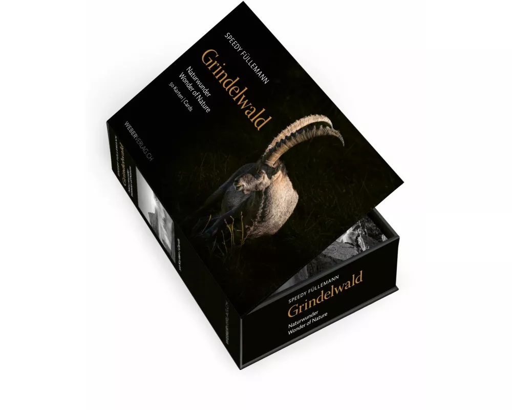 Postkartenbox Grindelwald