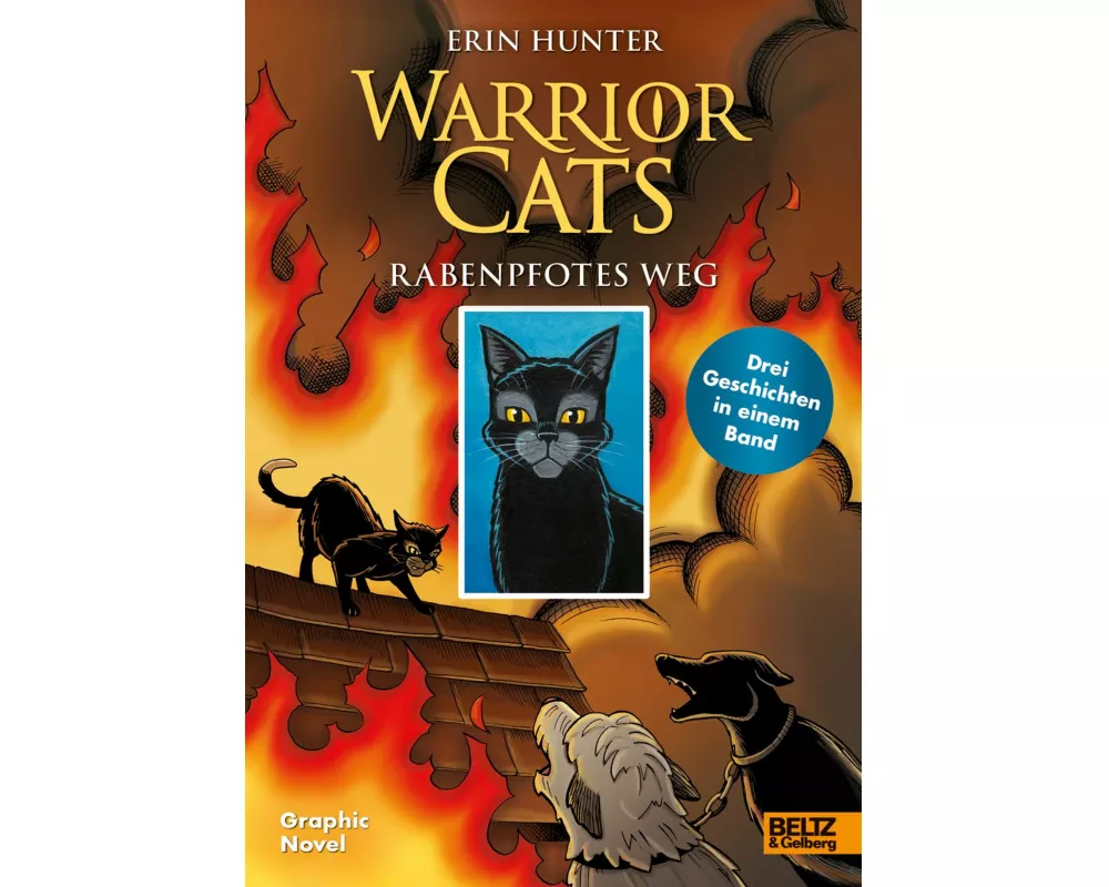 Warrior Cats - Rabenpfotes Weg