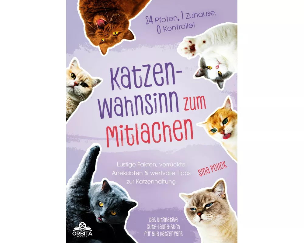 Katzen-Wahnsinn zum Mitlachen