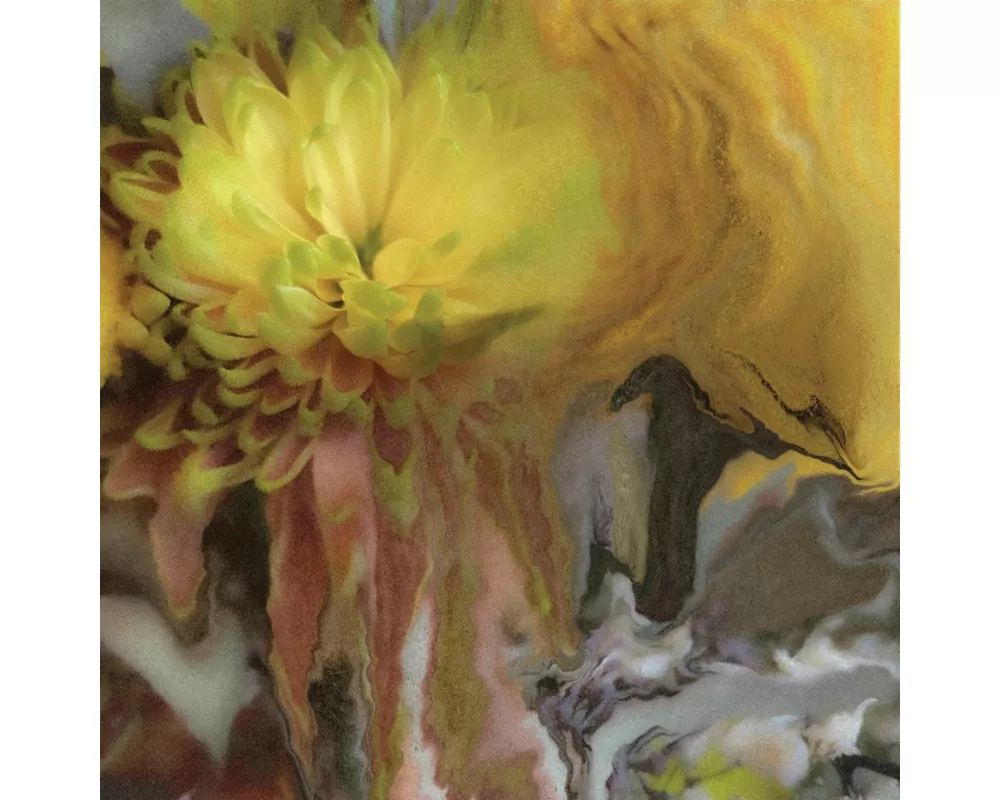 Wilderness Within You