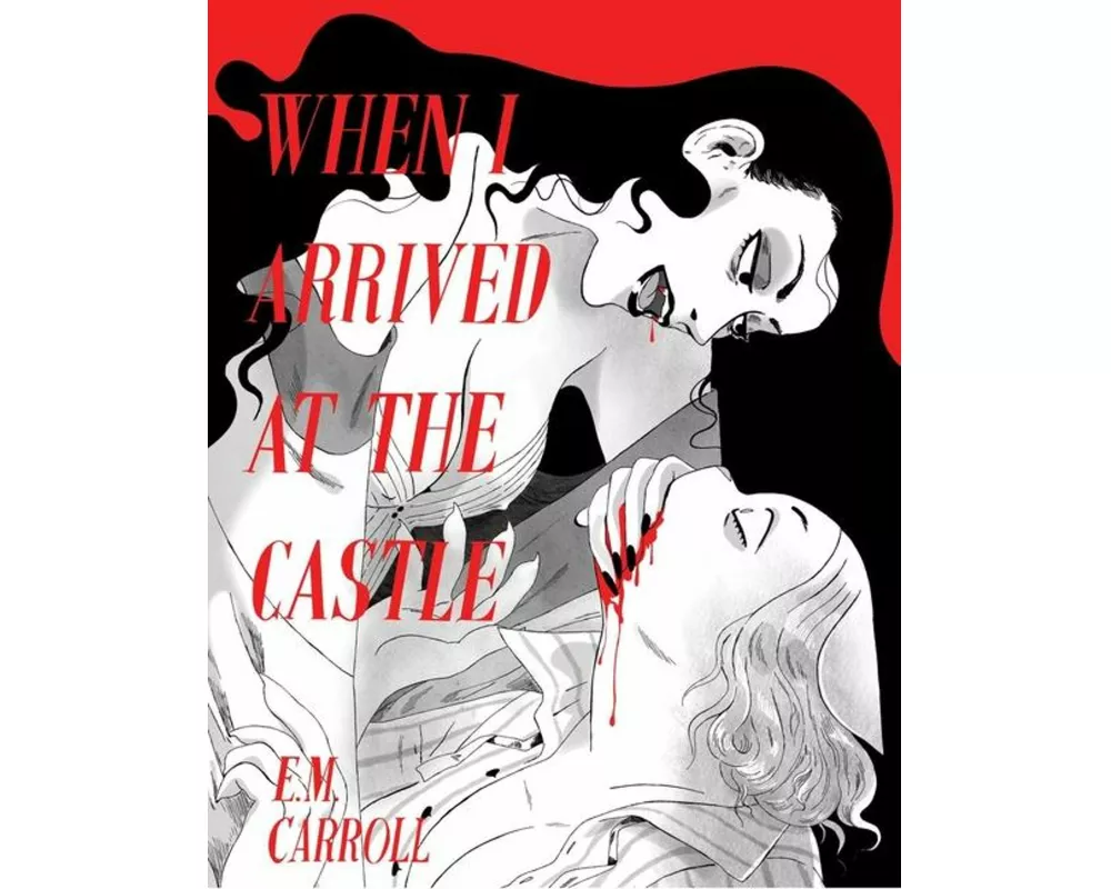 When I Arrived at the Castle