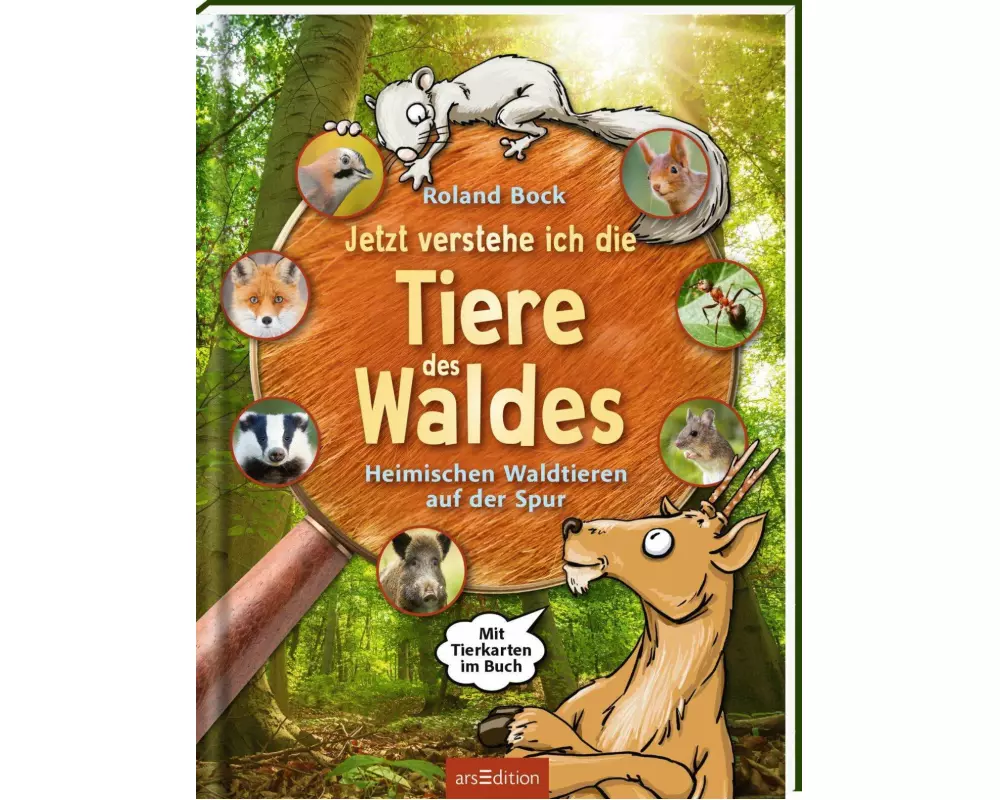 Jetzt verstehe ich die Tiere des Waldes