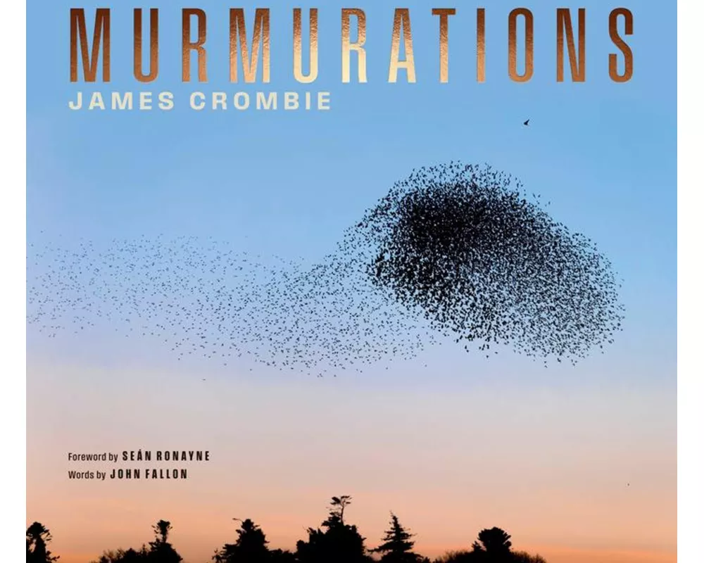 Murmurations