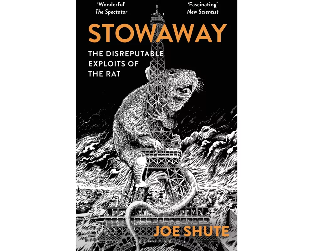 Stowaway