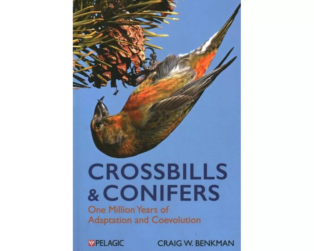Crossbills and Conifers