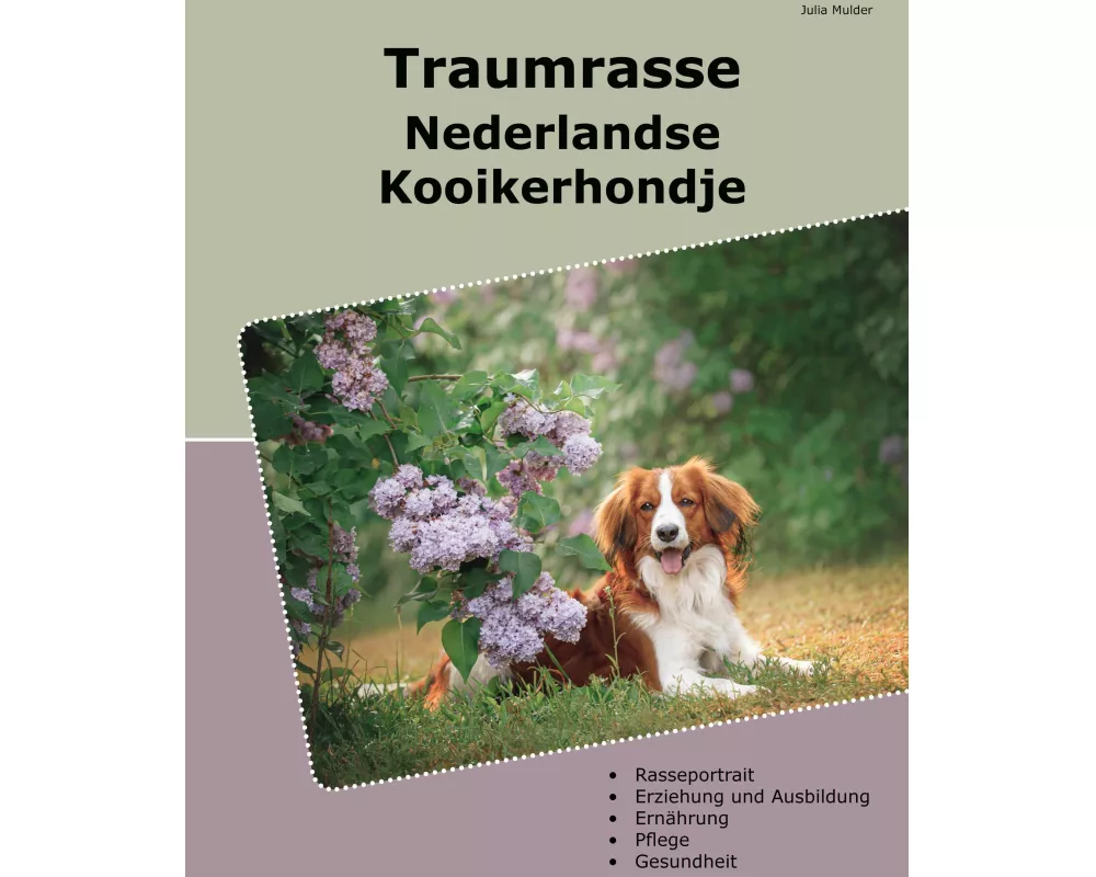 Traumrasse Nederlandse Kooikerhondje