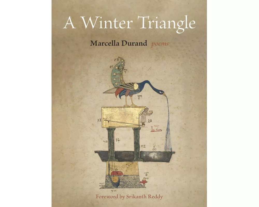 A Winter Triangle