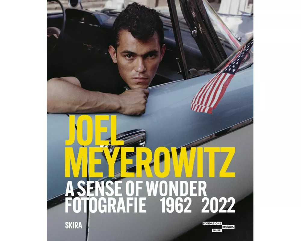 Joel Meyerowitz: A Sense of Wonder (Bilingual edition)