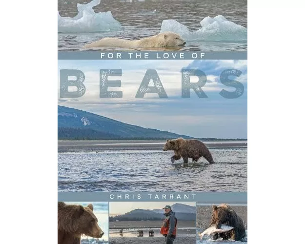For The Love Of Bears