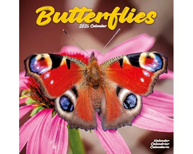 Butterflies Calendar 2026 Square Butterfly Wall Calendar - 16 Month