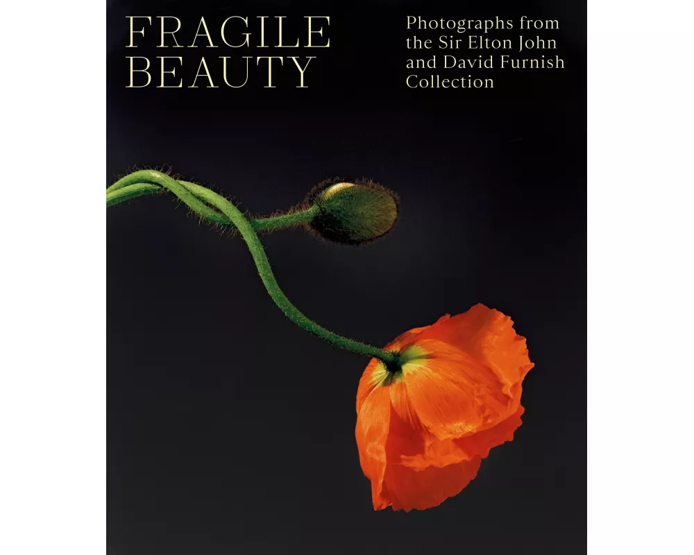 Fragile Beauty