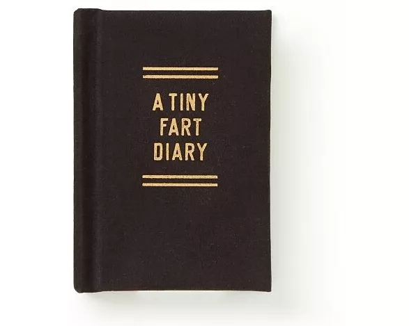 A Tiny Fart Diary