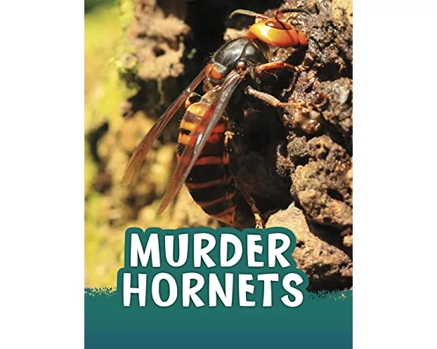 Murder Hornets