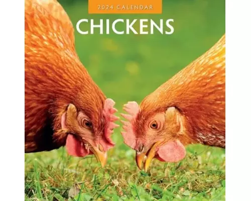Chickens 2024 Square Wall Calendar