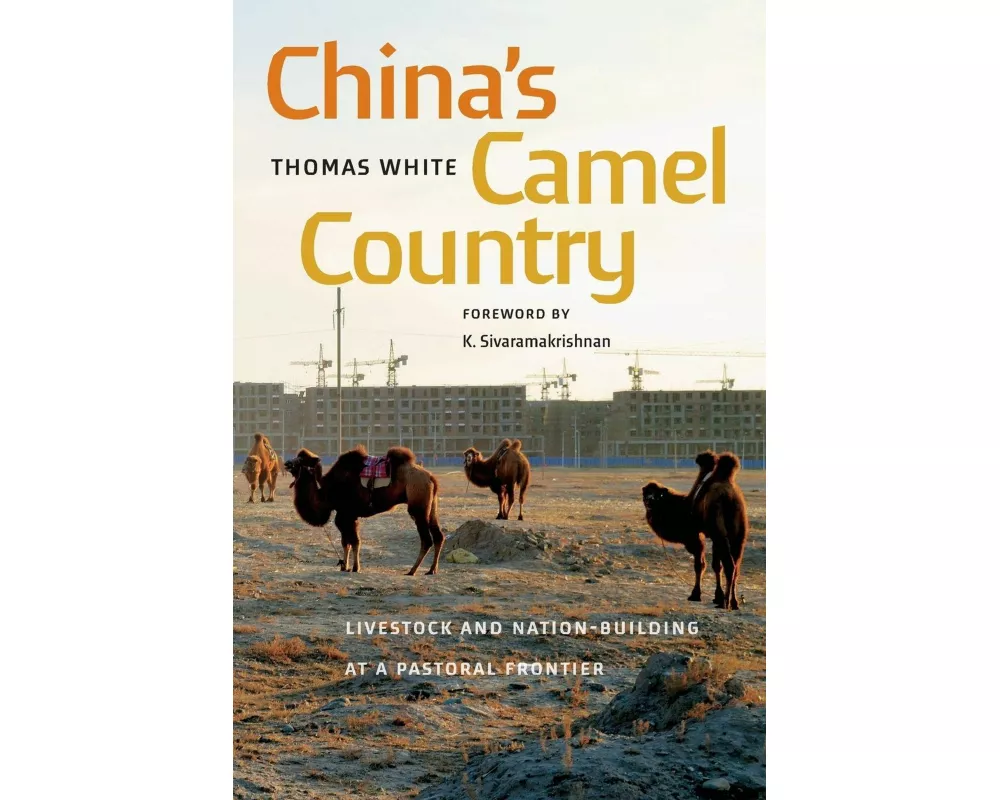 China's Camel Country