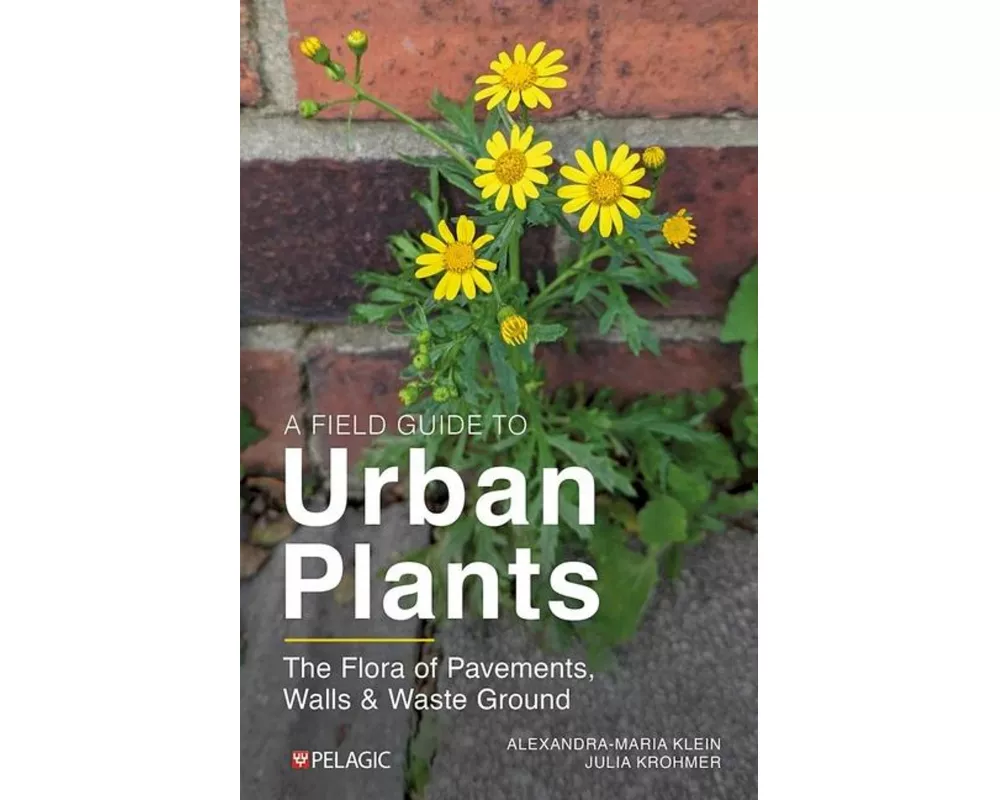 A Field Guide to Urban Plants