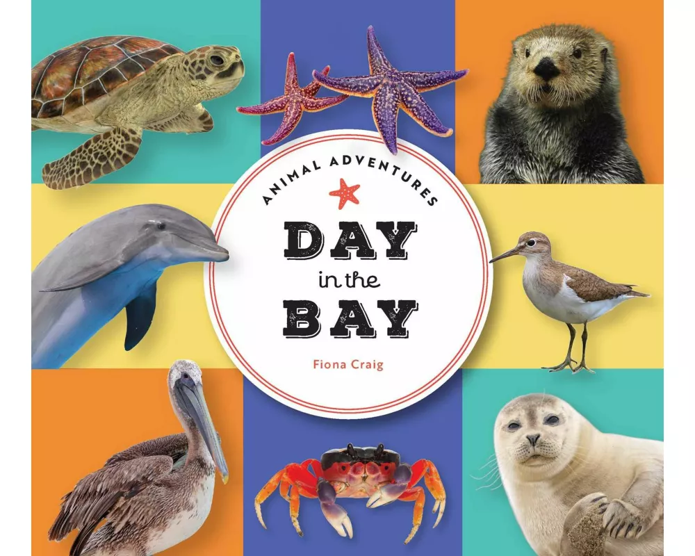 Animal Adventures: Day in the Bay