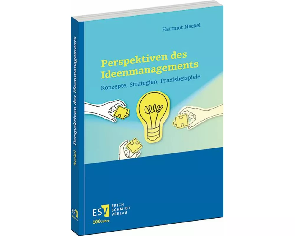 Perspektiven des Ideenmanagements