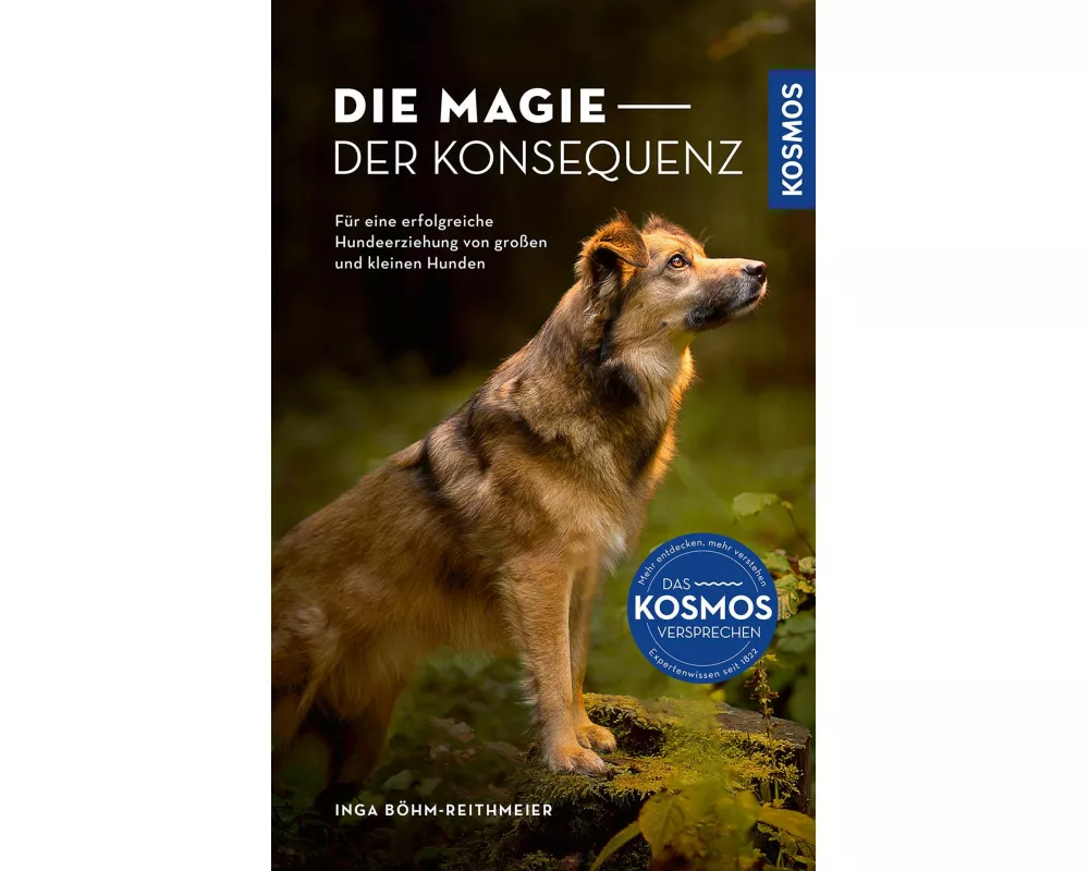 Die Magie der Konsequenz