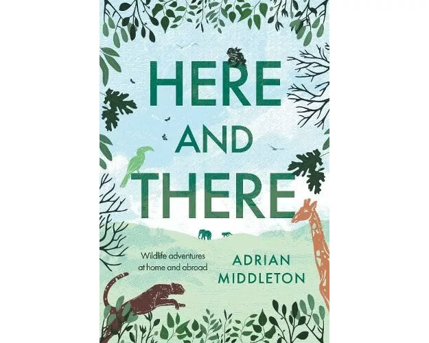 Here and There