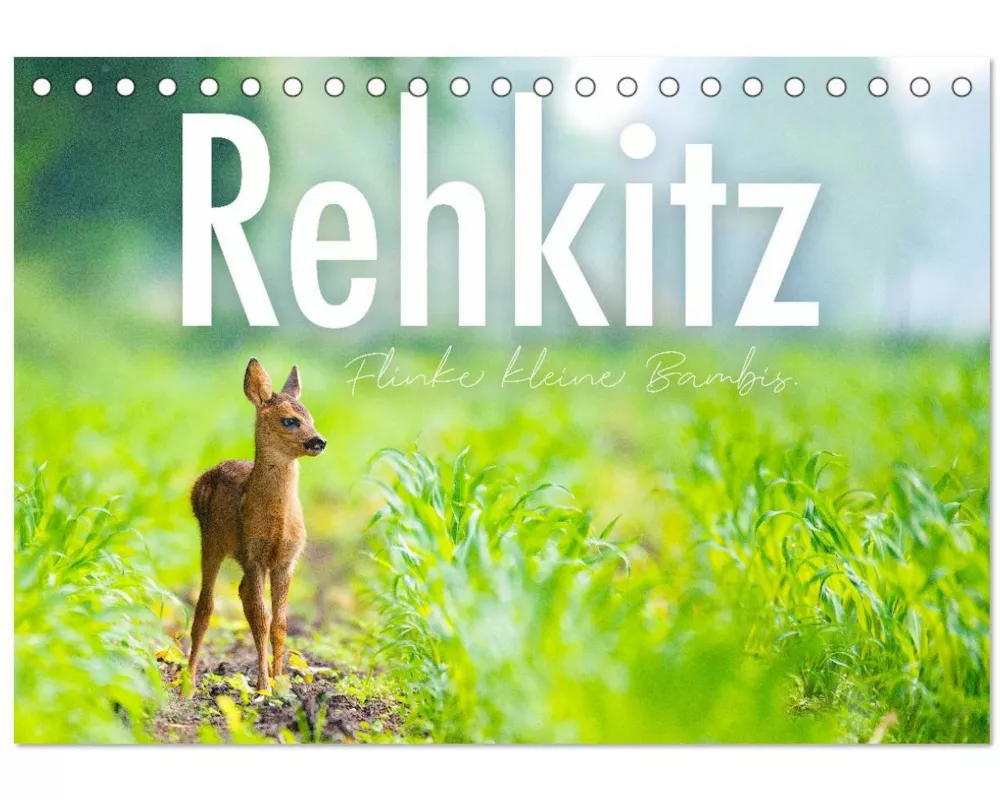 Rehkitz - Flinke kleine Bambis. (Tischkalender 2026 DIN A5 quer), CALVENDO Monatskalender