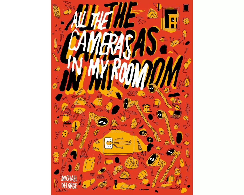 All the Cameras in My Room