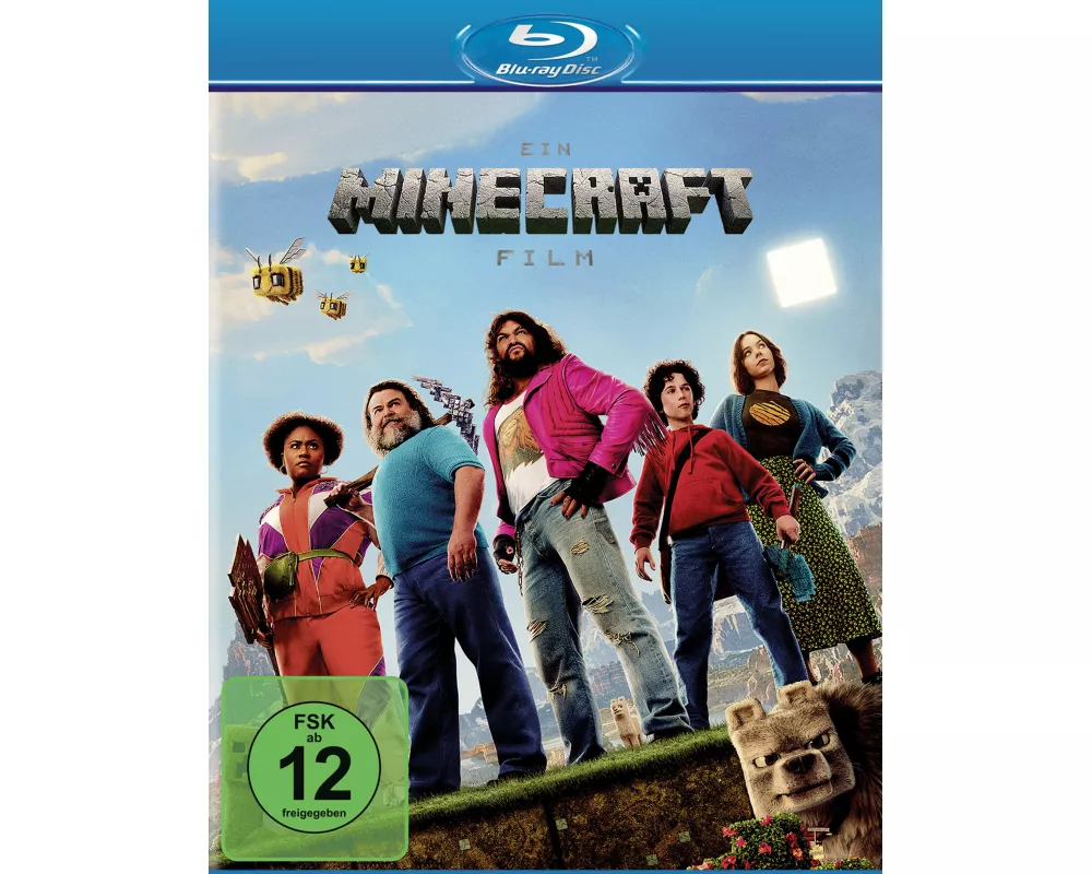 Ein Minecraft Film